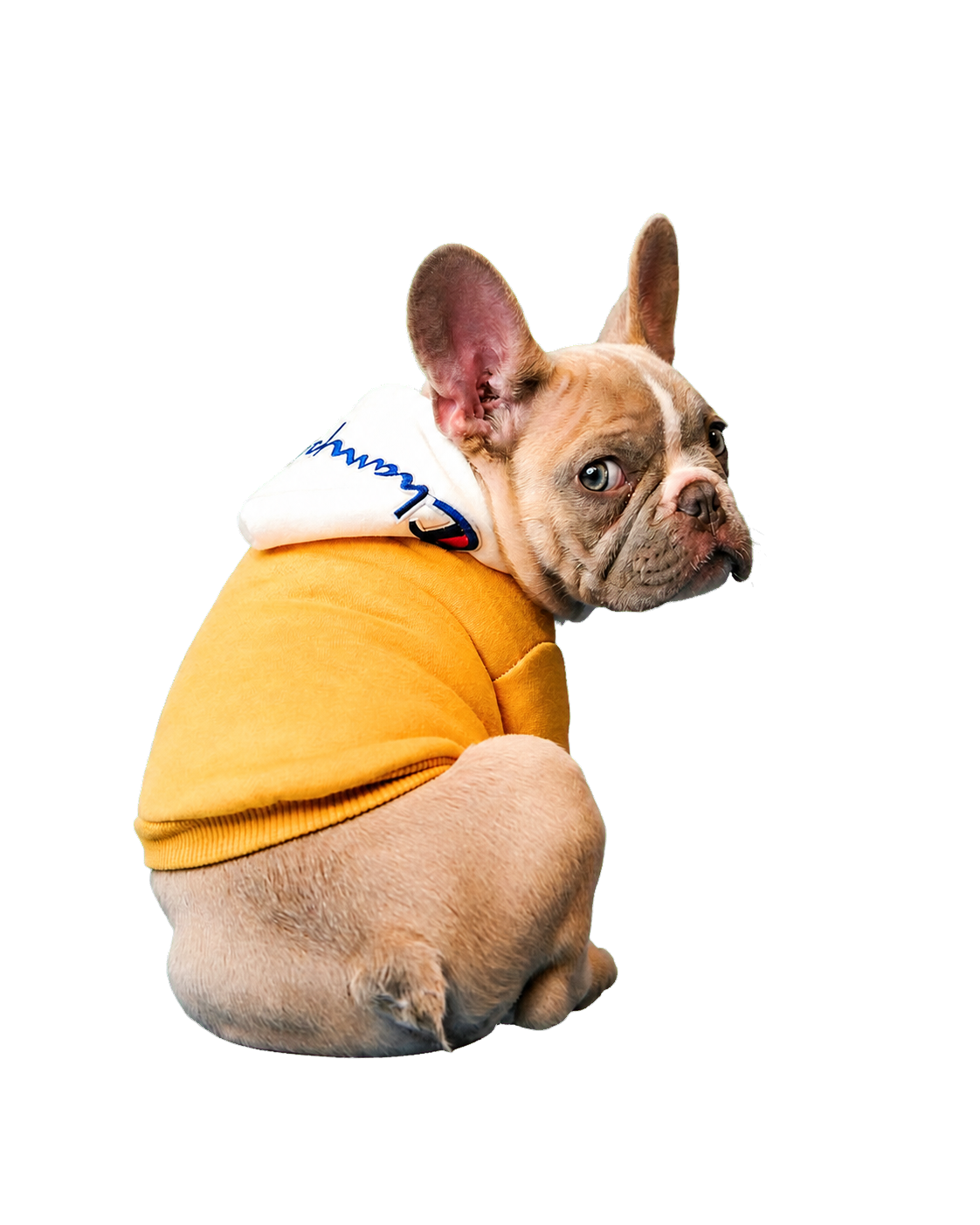 Dog cutout printed on shirt